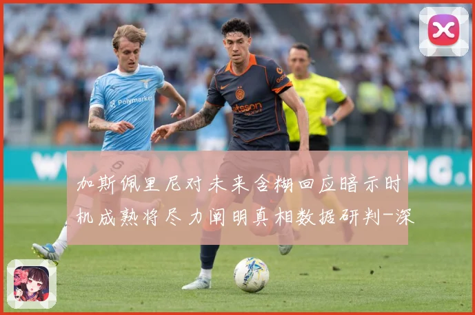 加斯佩里尼对未来含糊回应暗示时机成熟将尽力阐明真相数据研判-深度解析